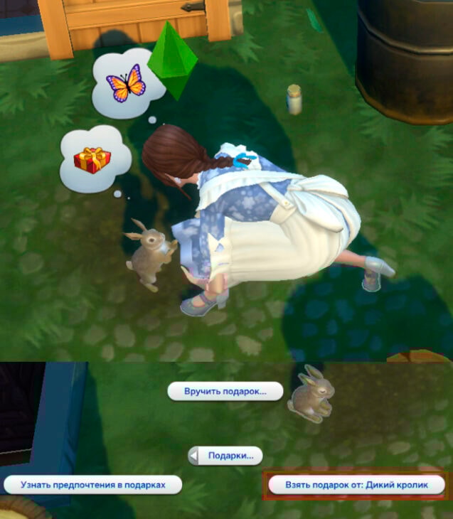 симс 4 взять подарок от дикого кролика