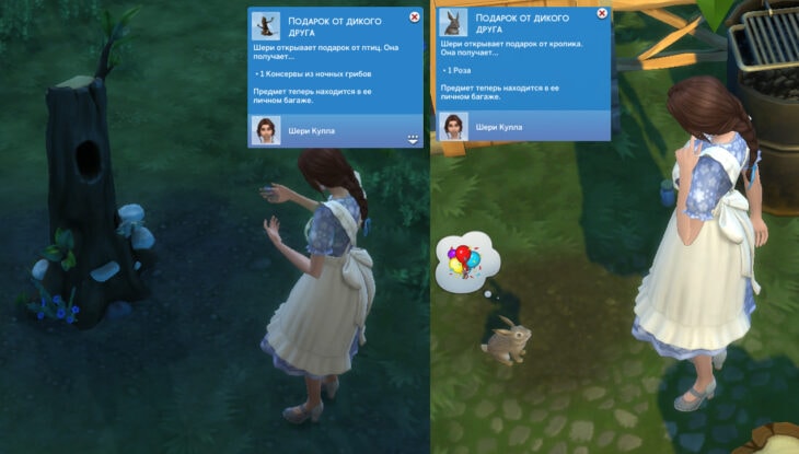 симс 4 подарок от дикого друга