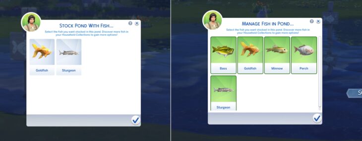 управление рыбами в водоёмах