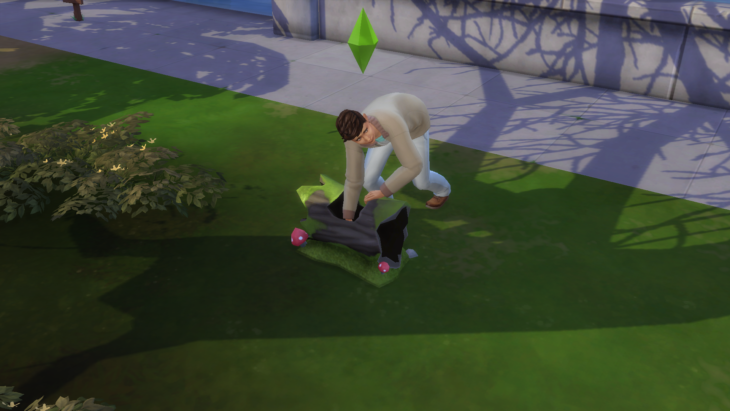 поиск лягушек в бревне