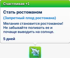 счастливый мудлет стать ростоманом