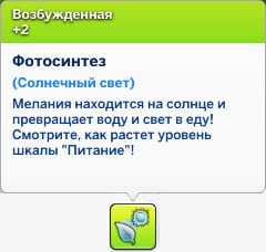 мудлет фотосинтез из-за солнечного света