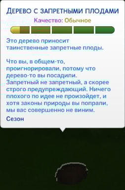 дерево с запретными плодами