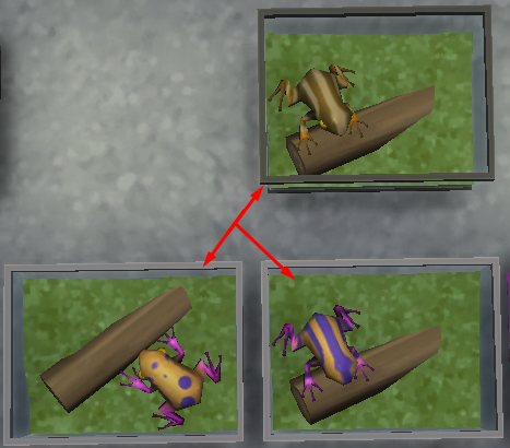 итог размножения лягушек