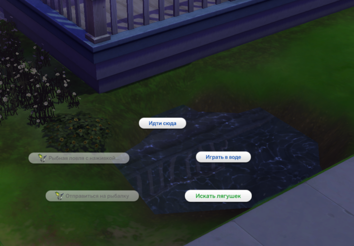 искать лягушек в пруду