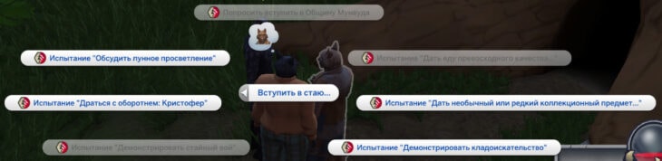 испытания при вступлении в стаю