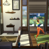 Факты о каталоге «The Sims 4: Фитнес»
