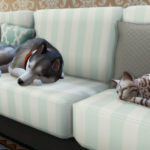 Обзор дополнения «The Sims 4: Кошки и собаки»